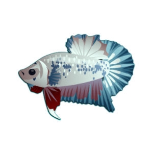 Marble Plakat Betta